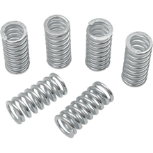 Load image into Gallery viewer, BELT DRIVES LTD. REPL CLUTCH SPRINGS F/ 552000/552001 6PK DS 360156