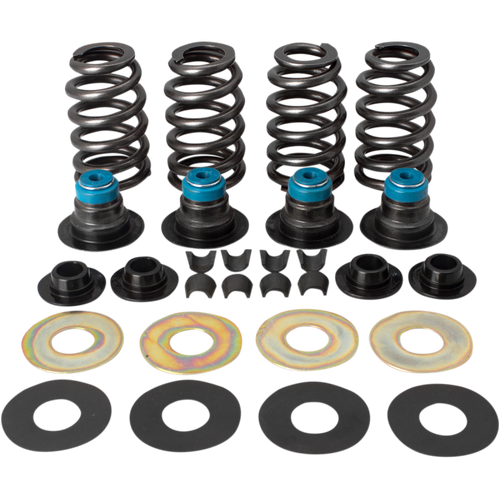 S&S CYCLE SPRINGS.585
