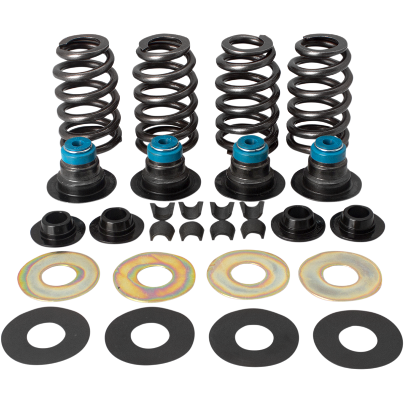 S&S CYCLE SPRINGS.585
