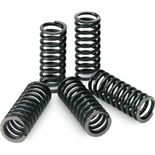 Load image into Gallery viewer, PRO CIRCUIT 04-20 KX250F/04-06 RMZ250 CLUTCH SPRINGS CSK10250-CS