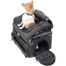 Load image into Gallery viewer, SADDLEMEN CONVERTIBLE PET CARRIER &amp; CARGO BAG 35150131