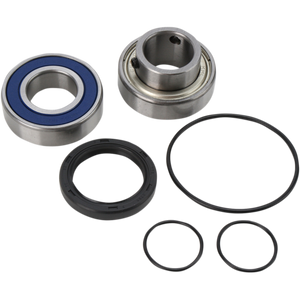 ALL BALLS CHAIN CASE BEARING & SEAL KIT 14-1033