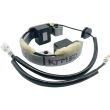 Load image into Gallery viewer, RICK'S MOTORSPORT ELECTRIC STATOR KTM 21-0093