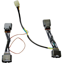 Load image into Gallery viewer, RIVCO PRODUCTS WIRING SUB HARNESS GL1800 GW007-38