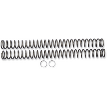 Load image into Gallery viewer, RACE TECH FORK SPRING .42KG FORK SPRING SET FRSP 444942