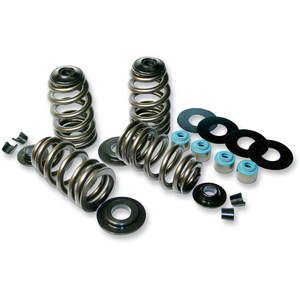 FEULING OIL PUMP CORP. 85-04 B/T ECONO BEEHIVE V/SPRING KIT 1120