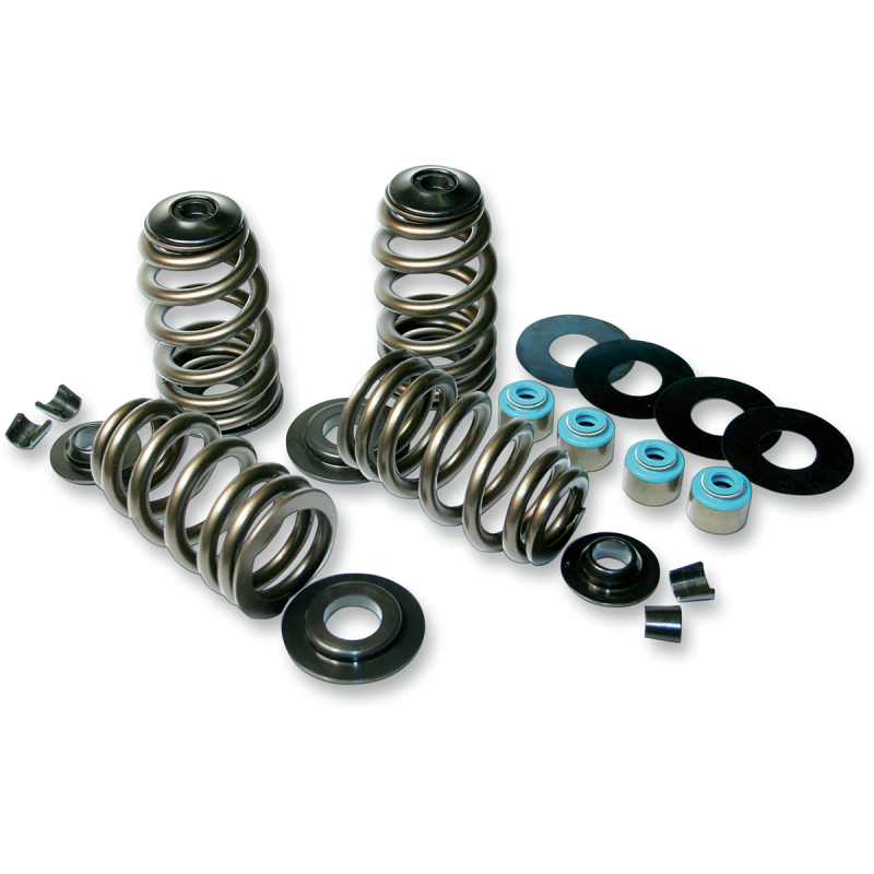 FEULING OIL PUMP CORP. 85-04 B/T ECONO BEEHIVE V/SPRING KIT 1120
