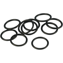 Load image into Gallery viewer, JAMES GASKET 99-13 T/C CRANKSHAFT SENSOR ORING 10 PK JGI-11289