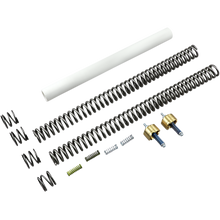 Load image into Gallery viewer, RACE TECH .95 KG/MM 39MM FORK KIT RACE TECH FLEK S3595 - Motomike Canada