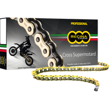 Load image into Gallery viewer, REGINA REGINA 520 RH2 CHAIN 100 LINKS 135RH2/1014