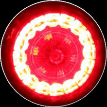 Load image into Gallery viewer, CUSTOM DYNAMICS SIGNAL PB UNIV 28RED GBLK PB-UNV-RTS-RR-B