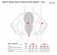 Load image into Gallery viewer, ALPINESTARS (ROAD) BACK PRO NUC KR-CELLI S 6503919002S