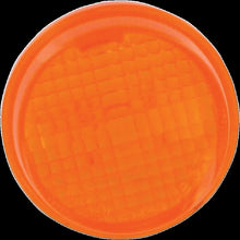 Load image into Gallery viewer, K&amp;S TECHNOLOGIES REPLCMNT LENS HON AMBER 25-1250