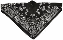 Load image into Gallery viewer, ZAN HEADGEAR NEODANNA RED PAISLEY WNEO106