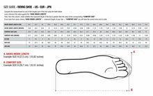 Load image into Gallery viewer, ALPINESTARS (ROAD) SHOE SUPERFASTER BGR 10 2511124-1106510