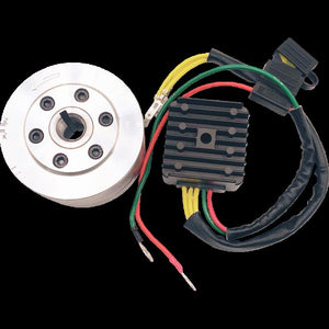 RICK'S MOTORSPORT ELECTRIC CHARGING KIT HONDA 99-111