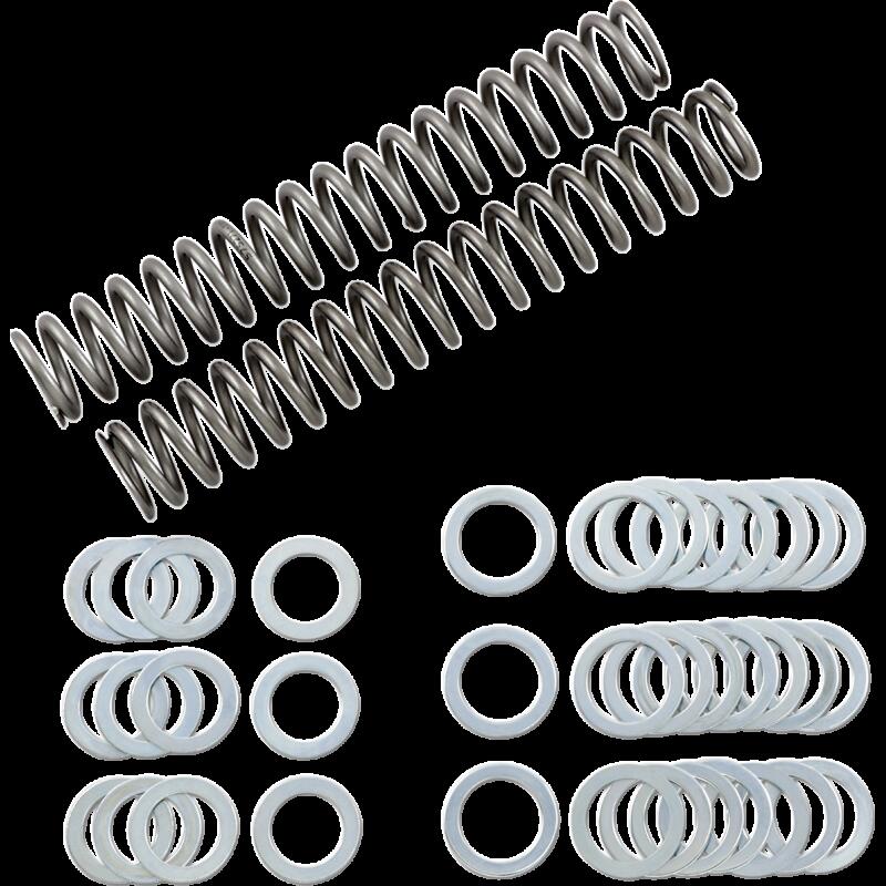 RACE TECH 1.10 KG/MM FORK SPRING SET '04 YZFR1 FRSP S3825110
