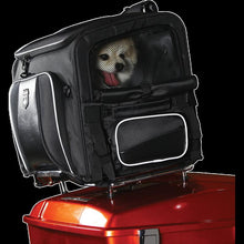 Load image into Gallery viewer, NELSON-RIGG PET CARRIER ROUTE 1 ROVER NR-240