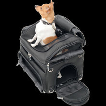 Load image into Gallery viewer, SADDLEMEN CONVERTIBLE PET CARRIER &amp; CARGO BAG 35150131