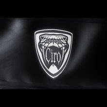 Load image into Gallery viewer, CIRO LLC DRYFORCE Quick Release Waterproof Cooler - H-D Luggage Rack 20301
