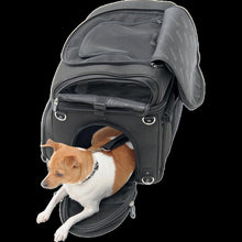 Load image into Gallery viewer, SADDLEMEN CONVERTIBLE PET CARRIER &amp; CARGO BAG 35150131
