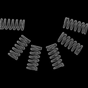 EBC CSK2 HEAVY DUTY CLUTCH SPRING SET EBC CSK2