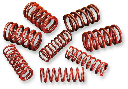 ANDREWS 84-04 B/T H/LIFT SPRING KIT SET 294150