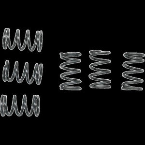 EBC CSK40 HEAVY DUTY CLUTCH SPRING SET EBC CSK40