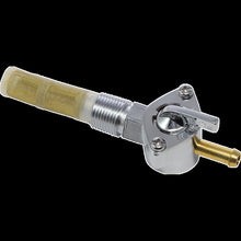 Load image into Gallery viewer, DRAG SPECIALTIES CHROME 3/8" NPT STRAIGHT PETCOX (EA) DS-390216
