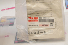 Load image into Gallery viewer, NEW NOS OEM YAMAHA MARINE 65J-W0004-01-00  REED SET - 150 200 225 HP OUTBOARD