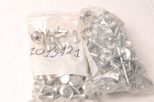 Load image into Gallery viewer, Genuine Polaris Rivet Lot of 70 w/Retainer IQ 600 550 440 Racer ++  |  1015421