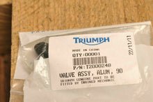 Load image into Gallery viewer, Genuine OEM Triumph T2000248 Valve,Tire,Aluminum 90 DEG. Tiger Explorer Silver