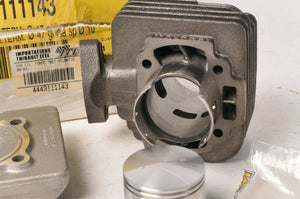 Malossi 70cc Cylinder Kit 3111143 Cast Iron Derbi 50 Paddock *MISSING RINGS*